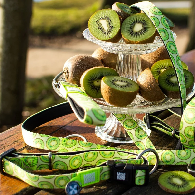 Kurzleine Kiwi
