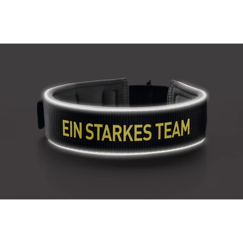 Halsband Neopren Reflect BVB