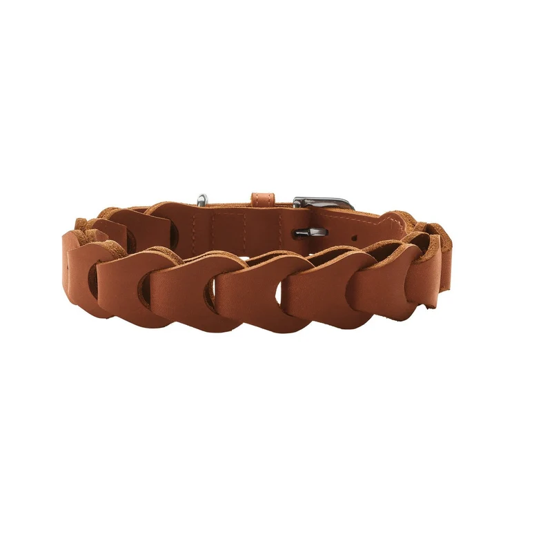 Hundehalsband Solid Education Chain