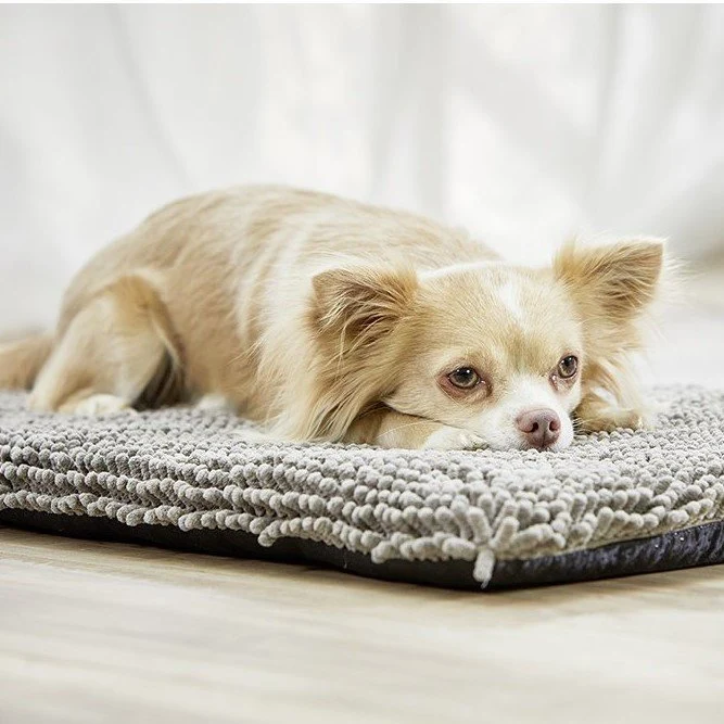 Wolters Cleankeeper Reise Pad Hundematte-saugfähig & waschbar