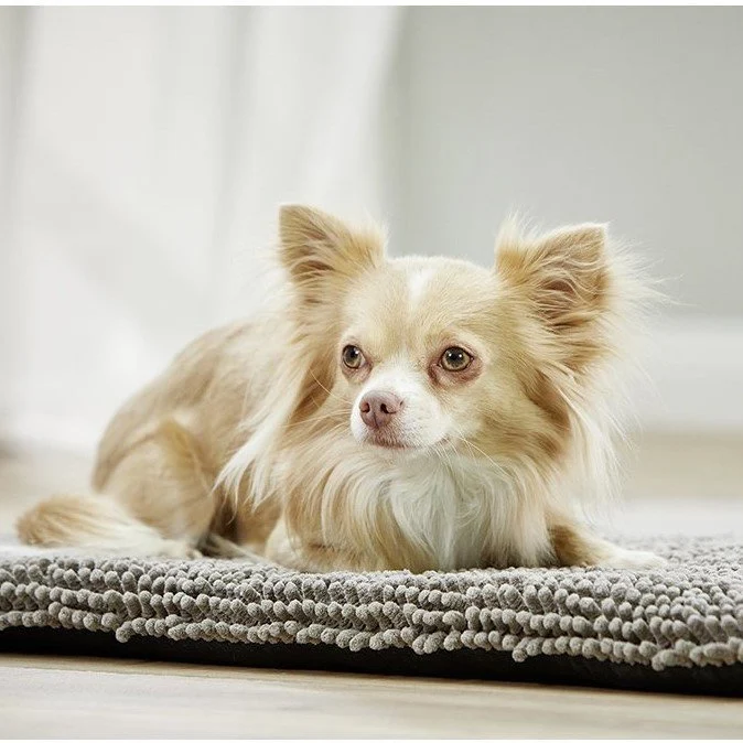 Wolters Cleankeeper Reise Pad Hundematte-saugfähig & waschbar