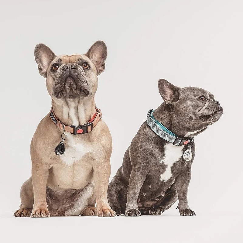TickLess Pet Zecken- & Flohschutz | Dein chemiefreier Ultraschall-Anhänger für Hunde & Katzen