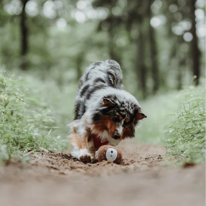Hunter Hundespielzeug Tirana