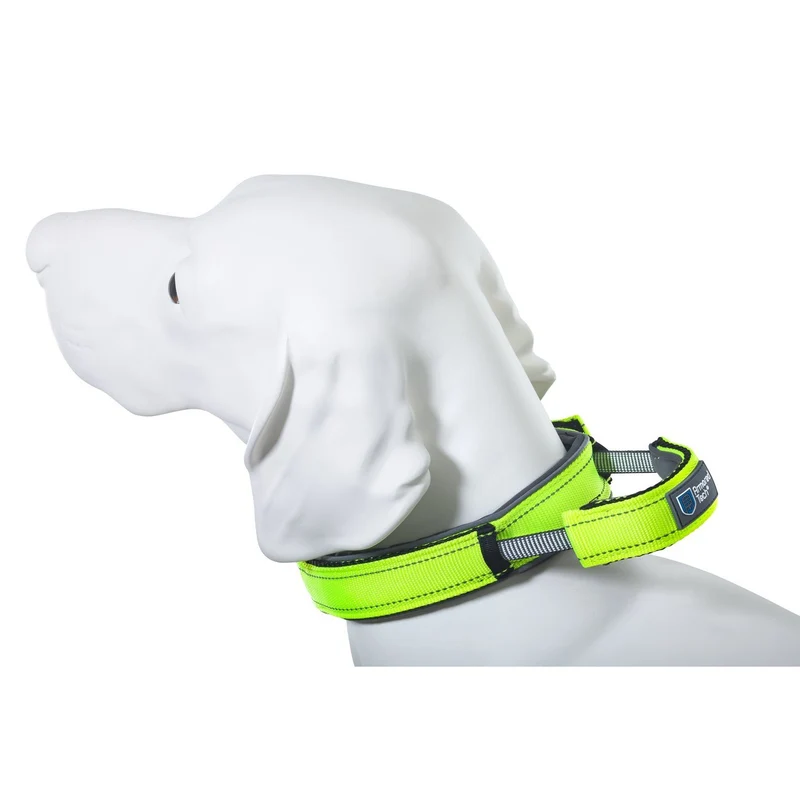 Hundehalsband mit Griff