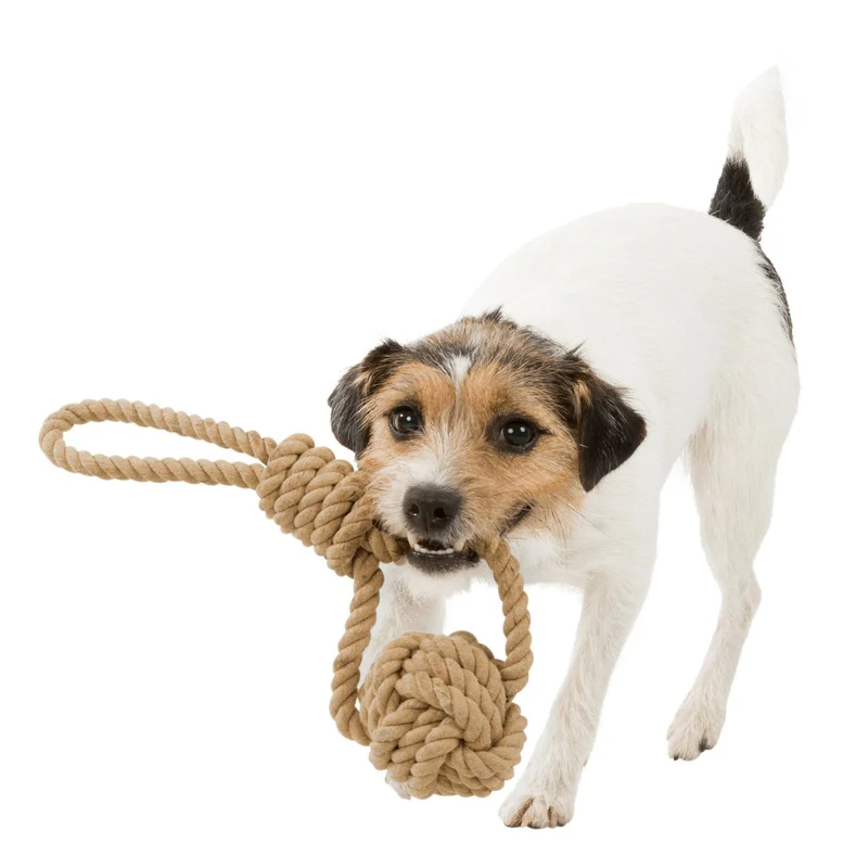 BE NORDIC Hunde Spieltau mit eingeflochtenem Ball