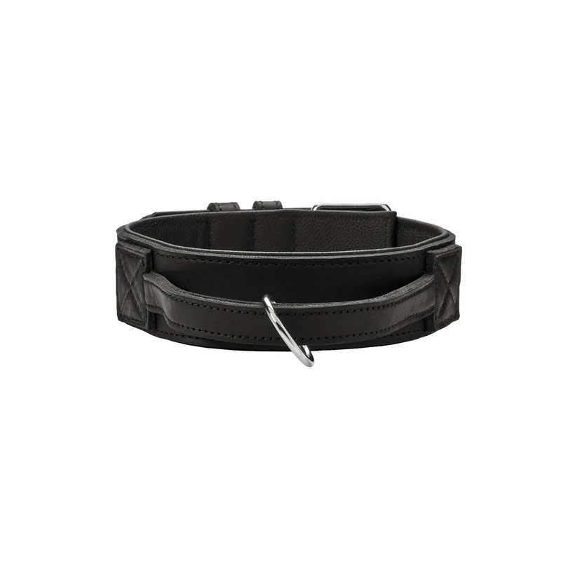 Hunter Trainingshalsband mit Griff Larvik