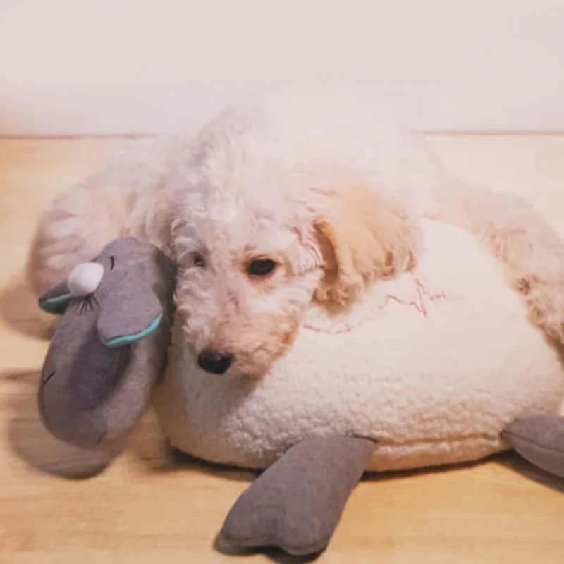 Beeztees Hundespielzeug Puppy Herzschlag