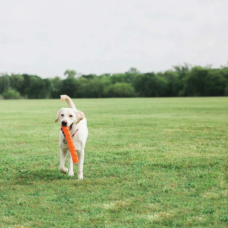 Chuckit! Breathe Right Air Fetch Stick Hundespielzeug