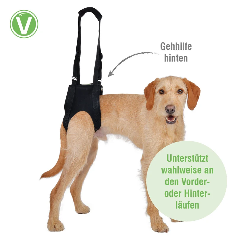 Gehhilfe