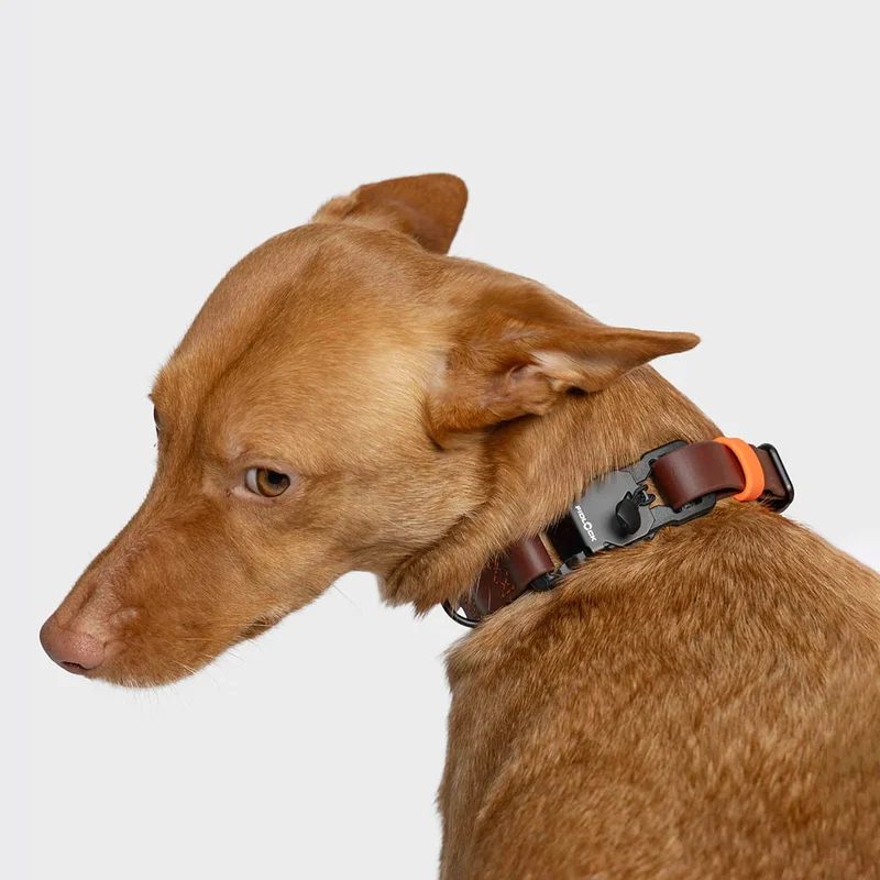 Hundehalsband BioThane Ipanema Dark Aubergine