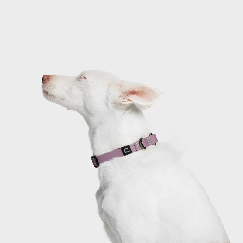 Hundehalsband BioThane Ipanema Lilac