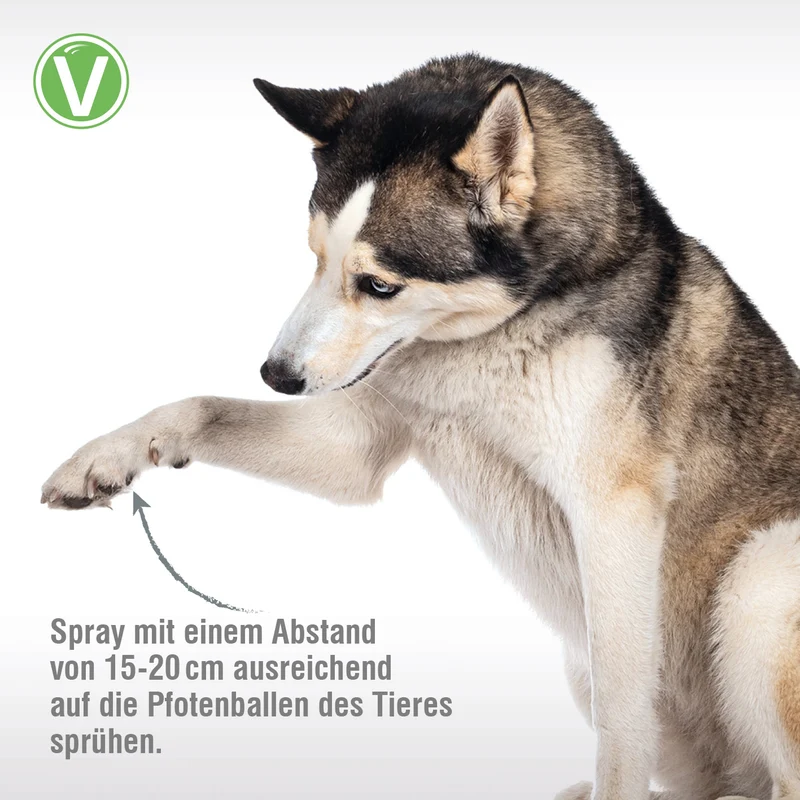 Pfotenpflege-Spray
