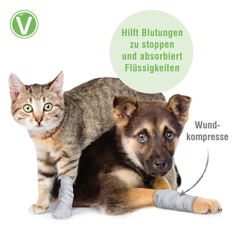 Wundkompresse