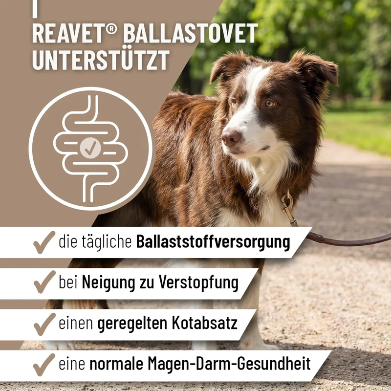 BallastoVET