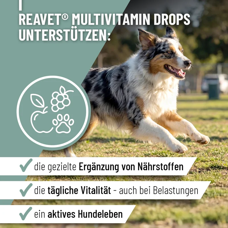 Multivitamin Drops