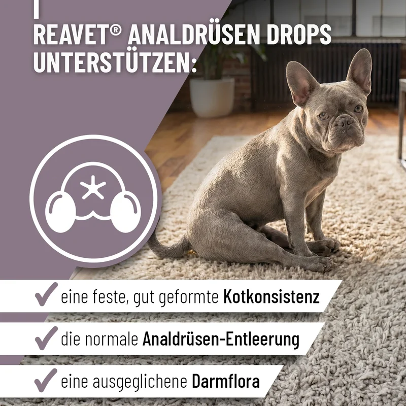 Analdrüsen Drops