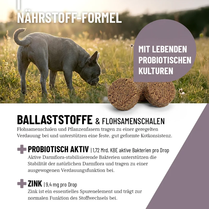 Analdrüsen Drops