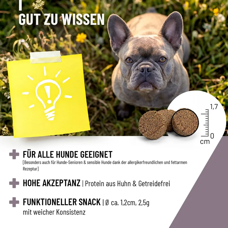 Analdrüsen Drops