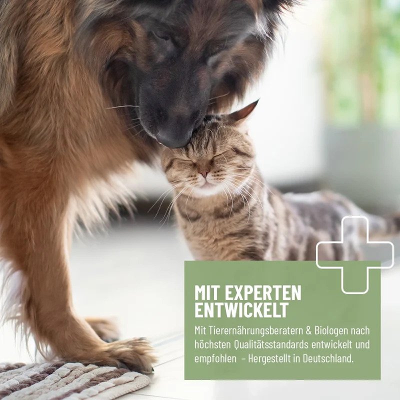 Eierschalenpulver