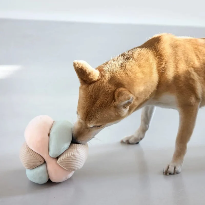 Schnüffelspielzeug Brino Rosa
