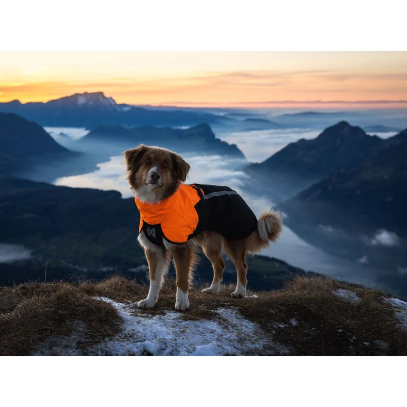 Non-stop Fjord Raincoat 2.0