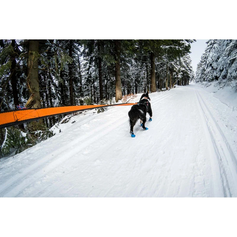 Bungee leash