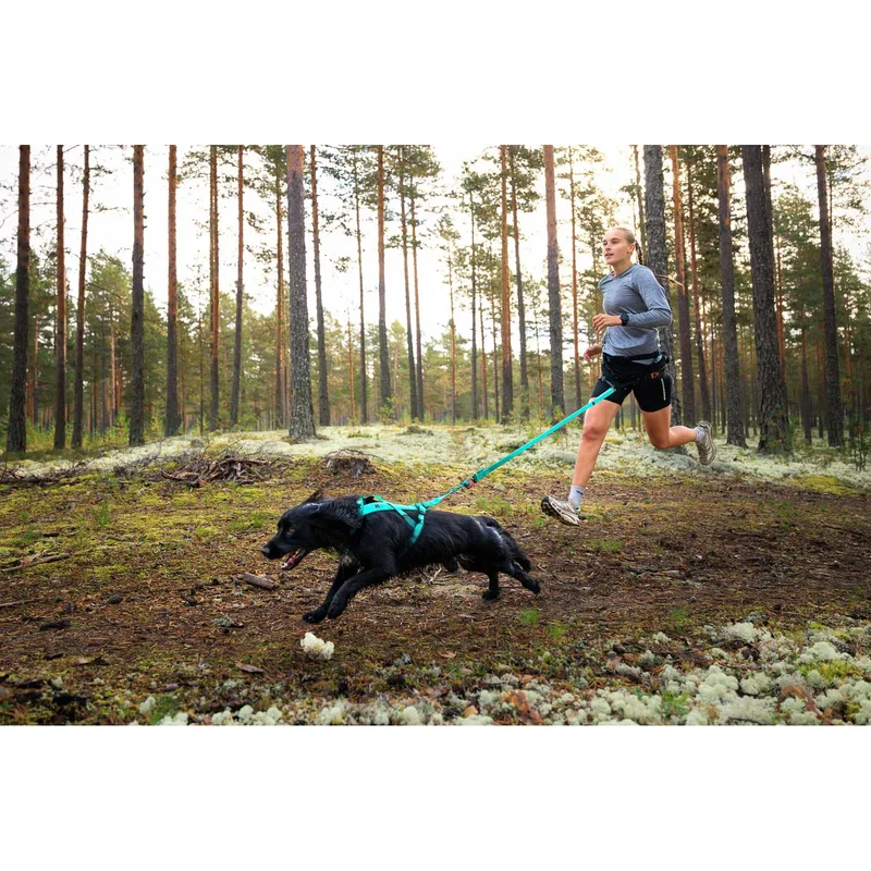 Bungee leash