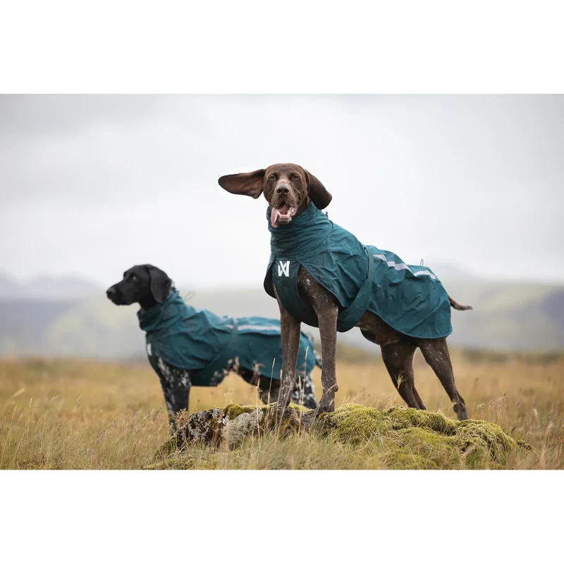 Non-stop Fjord lined raincoat