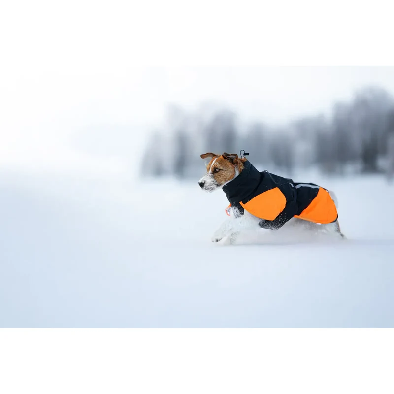 Non-stop Glacier Jacket 3.0