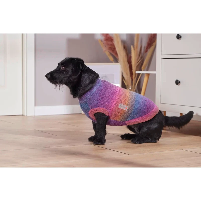 WOLTERS Strickpullover Rainbow