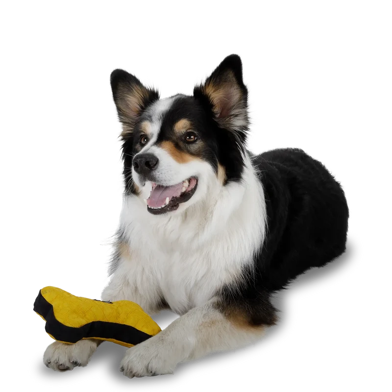 Redoggo Knochen