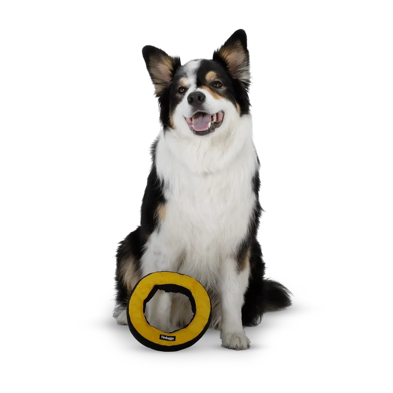 Redoggo Donut
