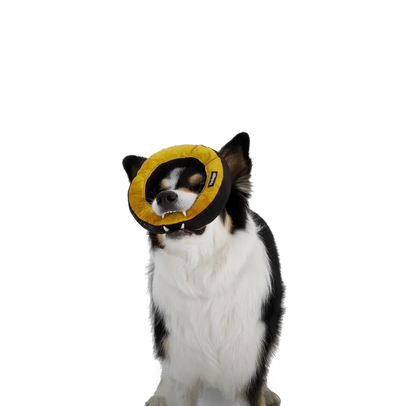 Redoggo Donut