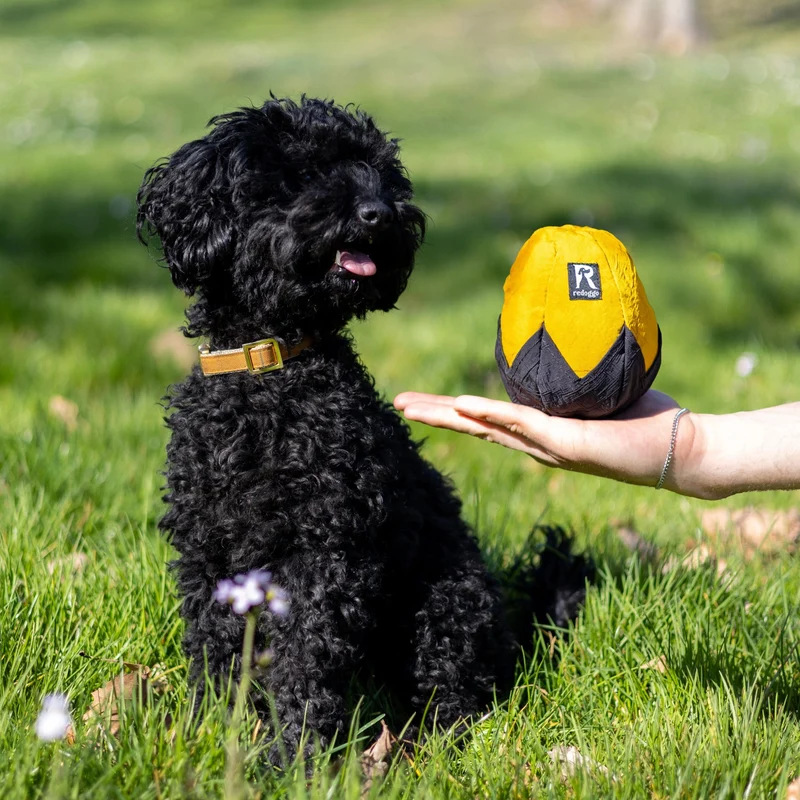 Redoggo Schnüffelei