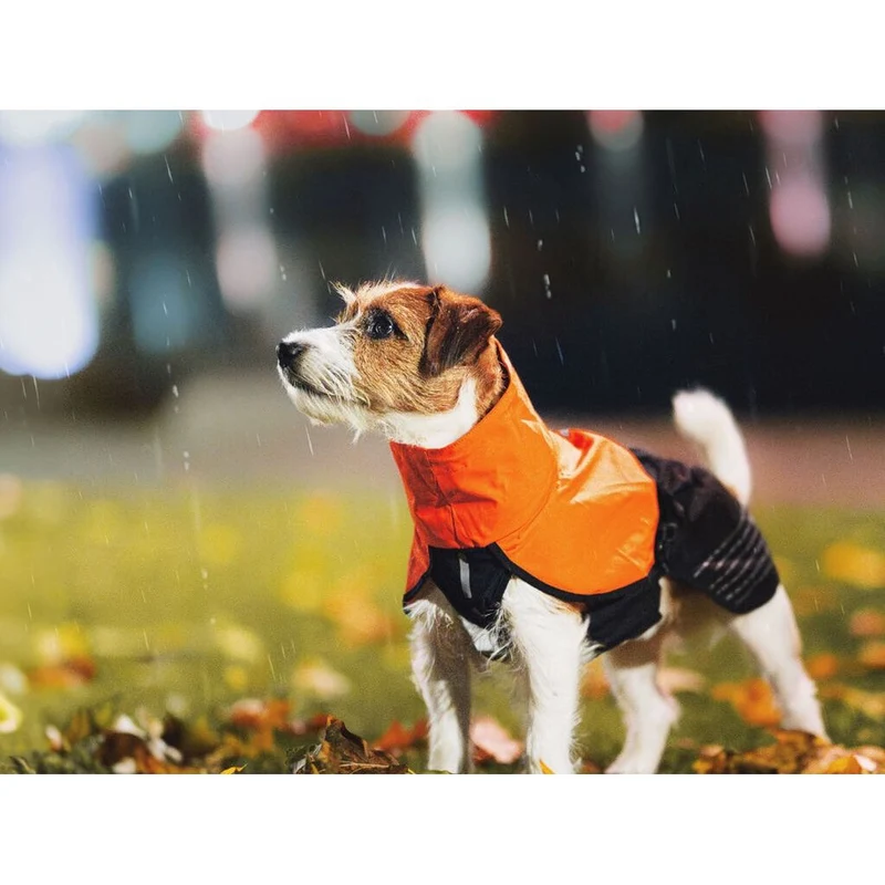 Non-stop Fjord raincoat