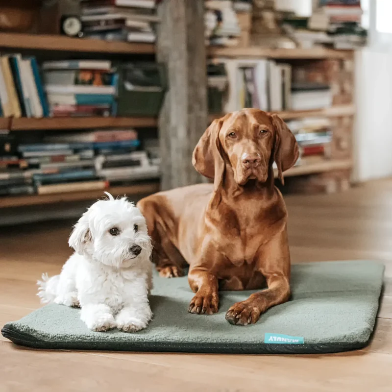 Manuly Hundematte I Komplett-Set inklusive Bag