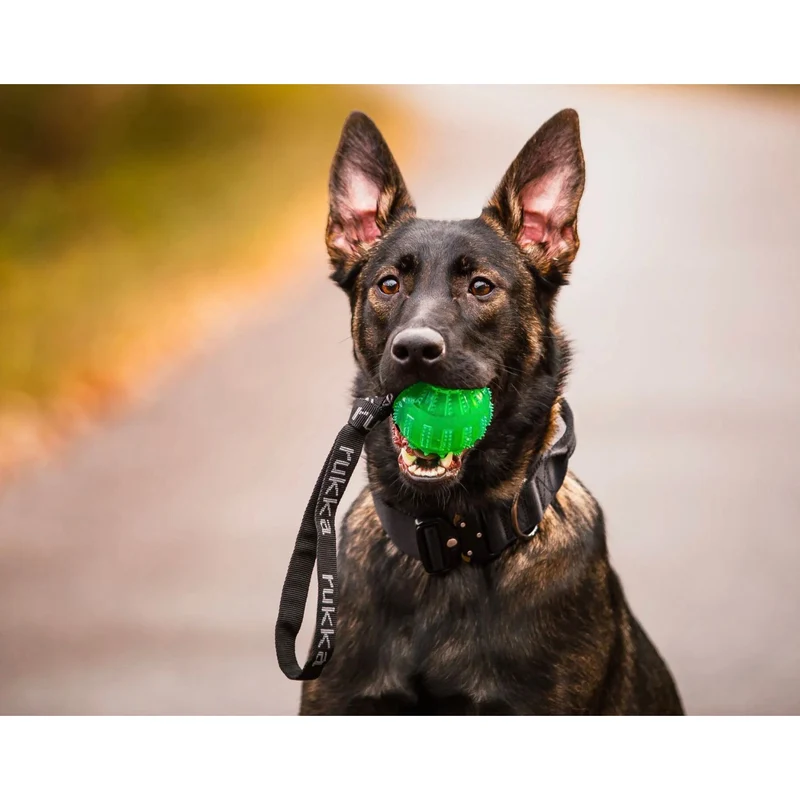 Ruckartig pets Gel ball with handle
