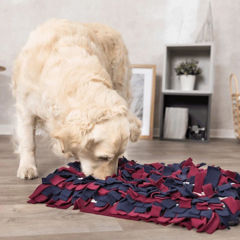 Dog Activity Schnüffelteppich Hundestrategiespiel