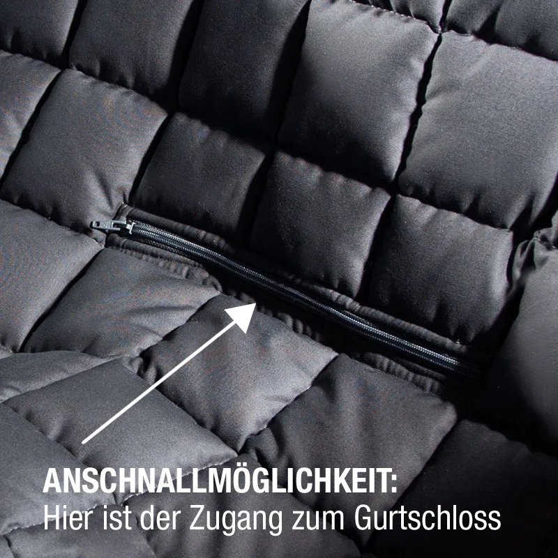 Doctor Bark 2-Sitzer 2-Türer Cabrio Autodecke