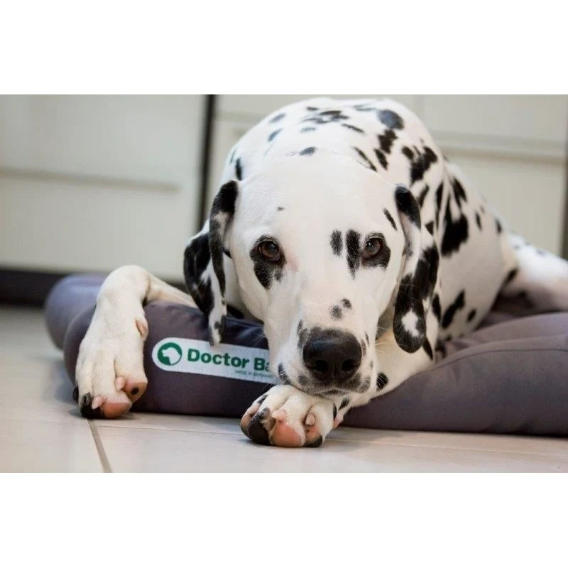 Doctor Bark Hundekissen – komplett waschbar bis 95 °C