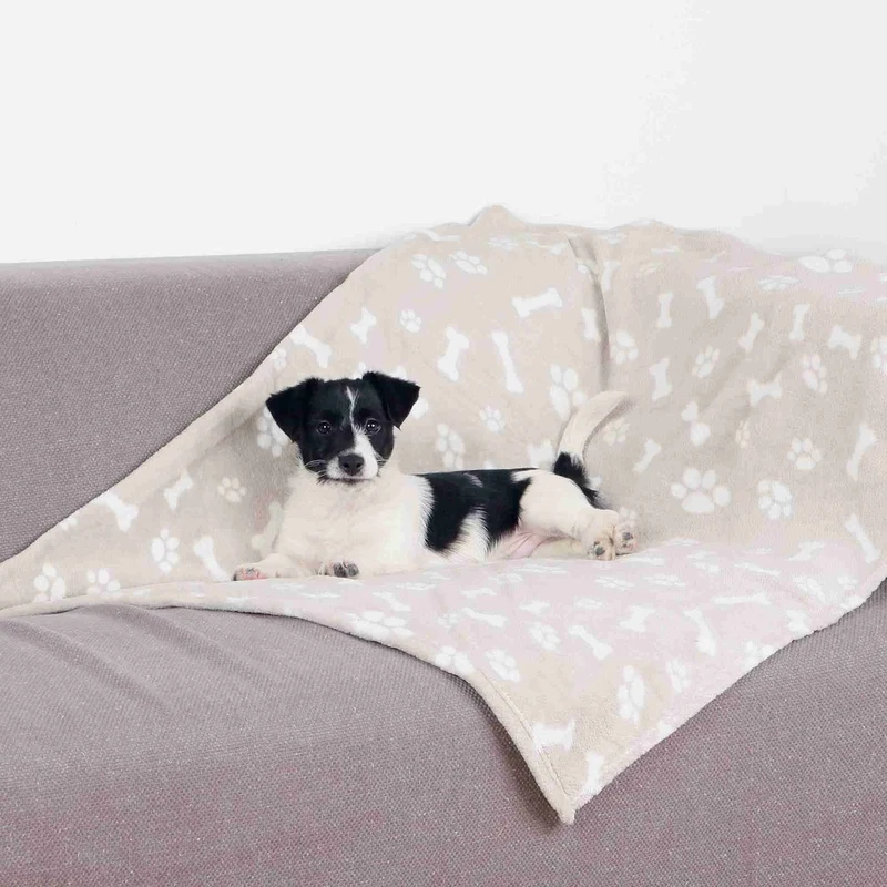 Hundedecke Kenny