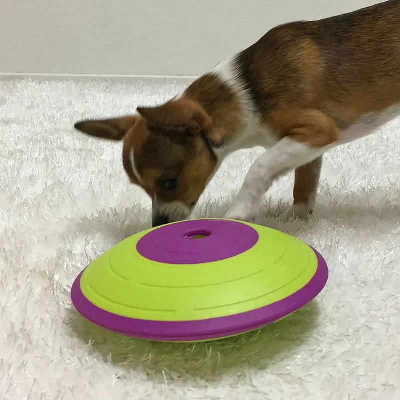 Dog Treat Maze Futterkreisel