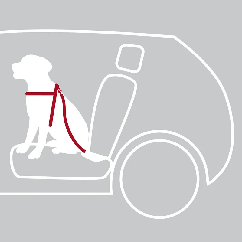 Hunde Sicherheitsgurt Sicherheitsgeschirr für das Auto