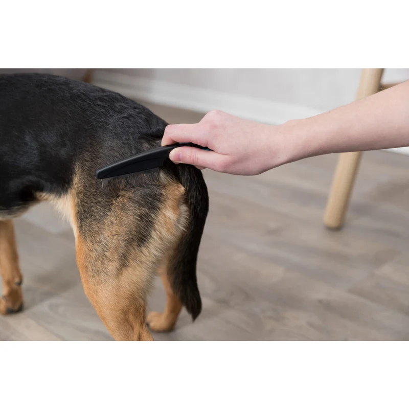 Flohkamm Läusekamm für kleine Hunde