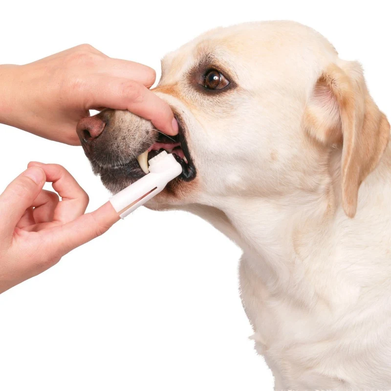 Zahnpflege-Set für Hunde