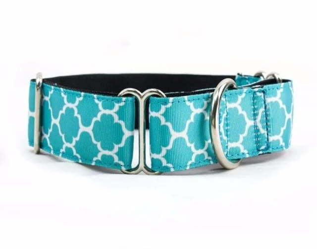 Dog Collar