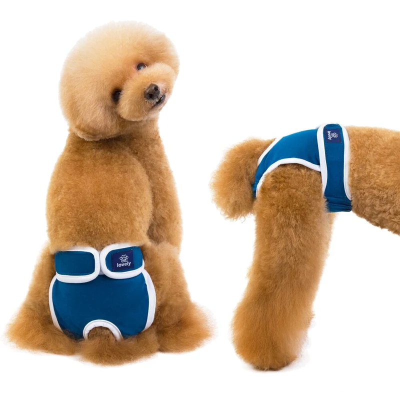 Physiologische Hundewindel
