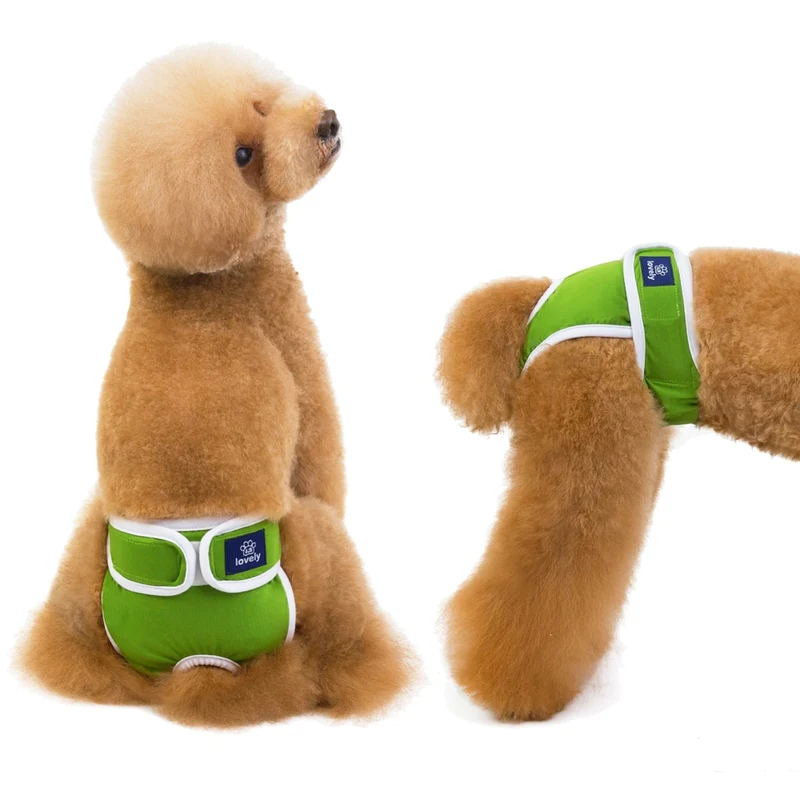 Physiologische Hundewindel