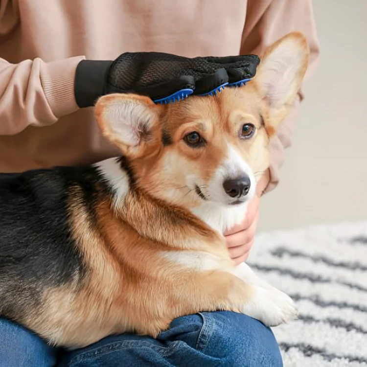 Bürstenhandschuh