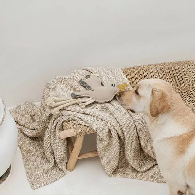 Hundespielzeug Gigi Gull aus Leder